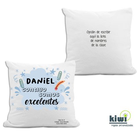 COJÍN EXCELENTES