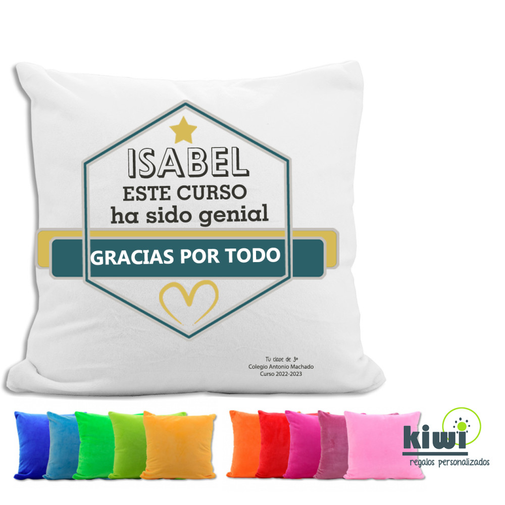 COJÍN FELPA GENIAL