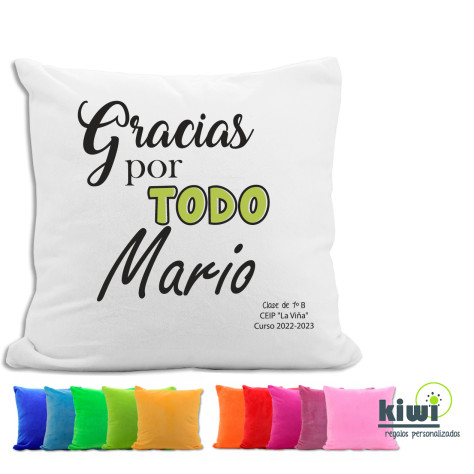 COJÍN FELPA GRACIAS POR TODO